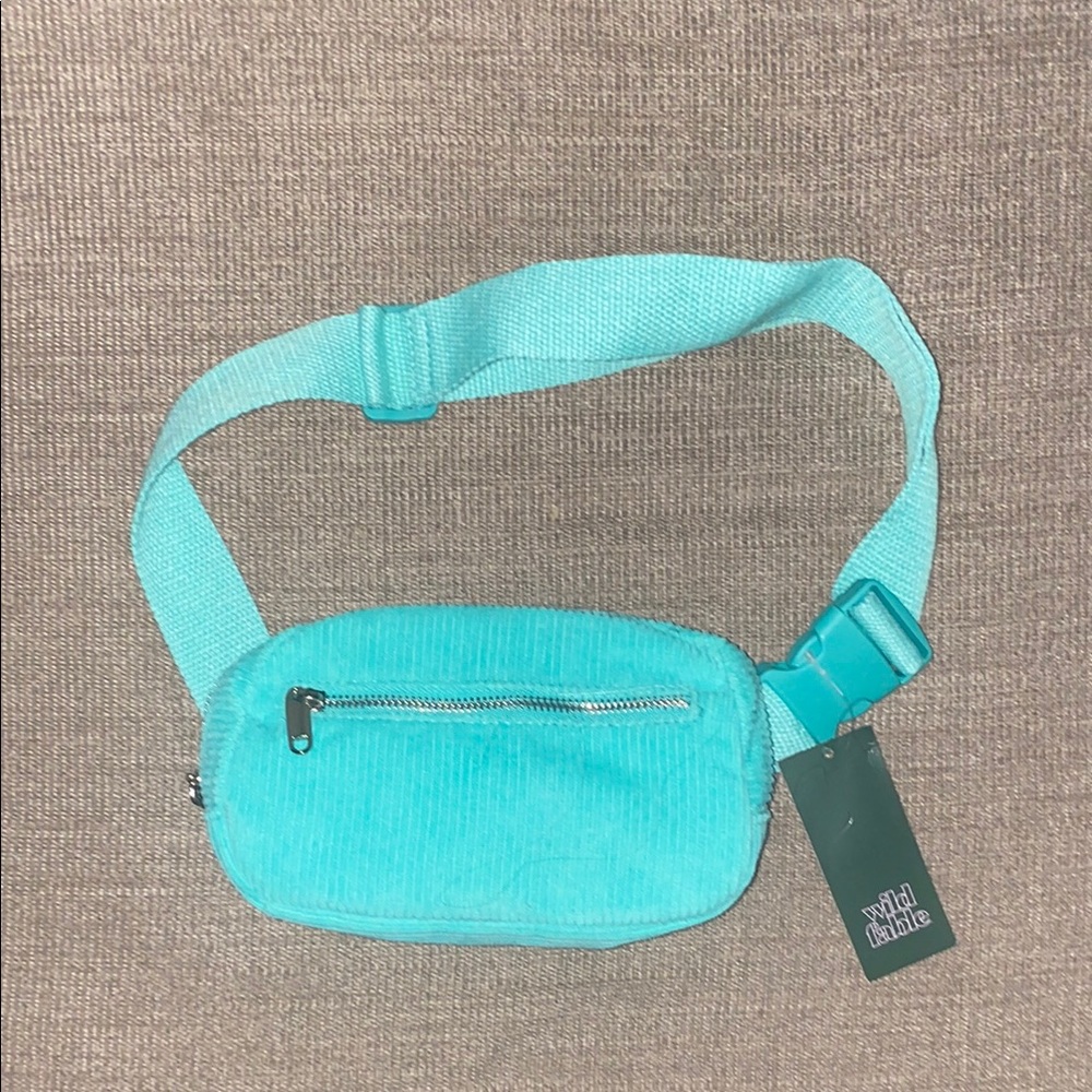 Wild Fable Turquoise Belt Bag